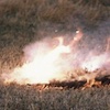 Downed Conductor Fire
